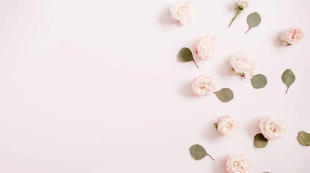 Mẫu Powerpoint hình nền hoa đẹp và miễn phí