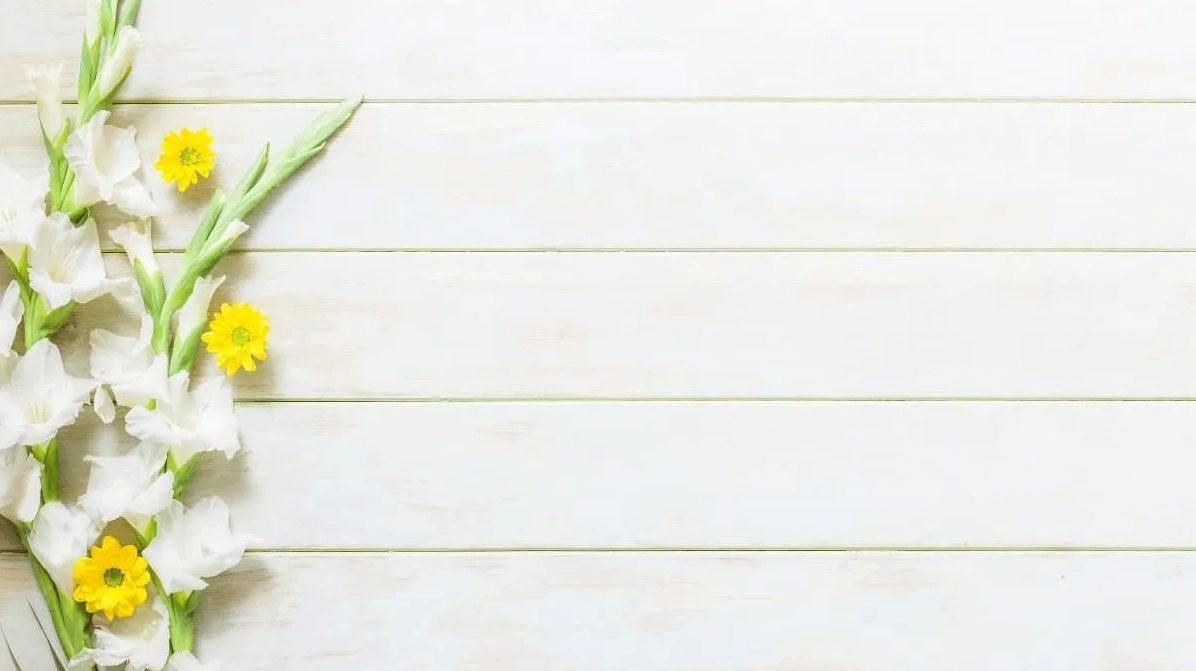 Mẫu Powerpoint hình nền hoa đẹp và miễn phí