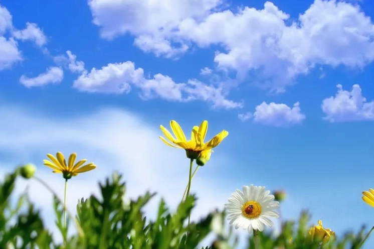 Mây trắng bồng bềnh trên nền trời xanh trong ánh nắng chan hòa