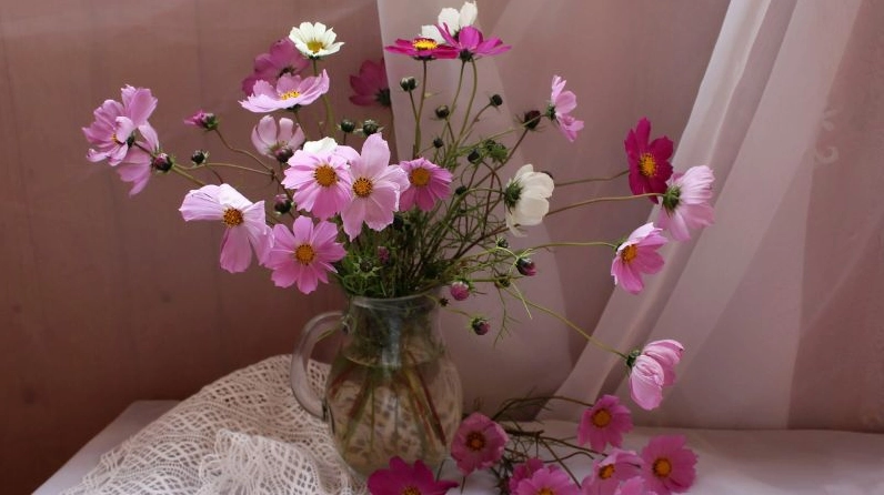 Một bình hoa sao nhái tinh tế trang trí cho không gian thêm rạng rỡ