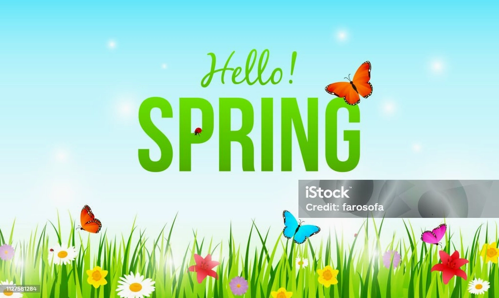 Nền đồng cỏ mùa xuân tuyệt đẹp cỏ xanh với hoa