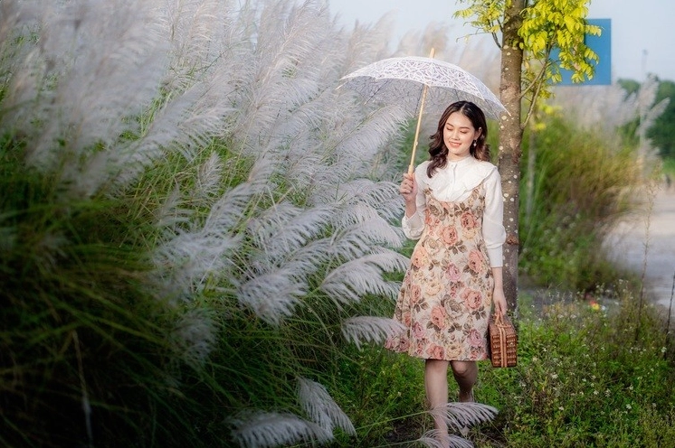 Phong cảnh cỏ lau ở vùng núi với mây nhẹ, nền xanh mát