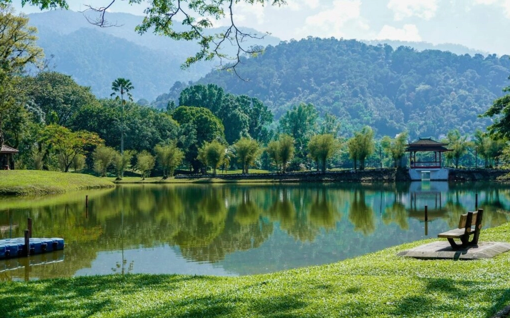 Phông nền background ghép ảnh 8 hiện đại