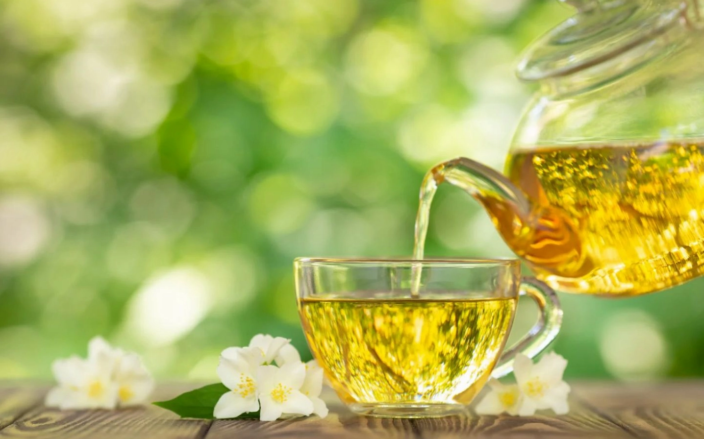 Tách trà hoa nhài thơm ngát trong nắng sớm tinh sương