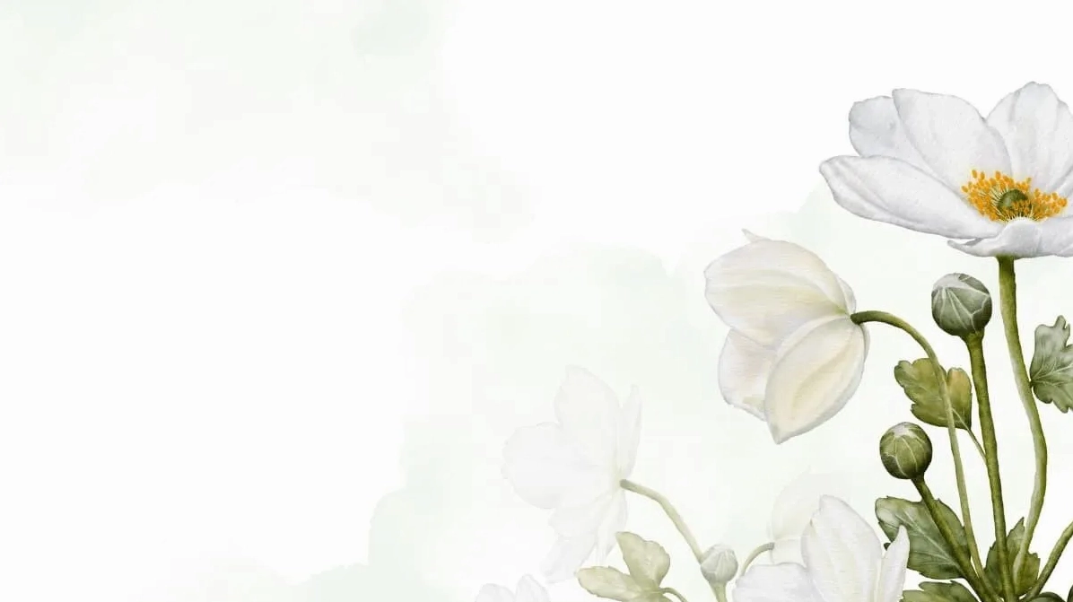 Tải miễn phí 99+ Powerpoint hình nền hoa chất lượng