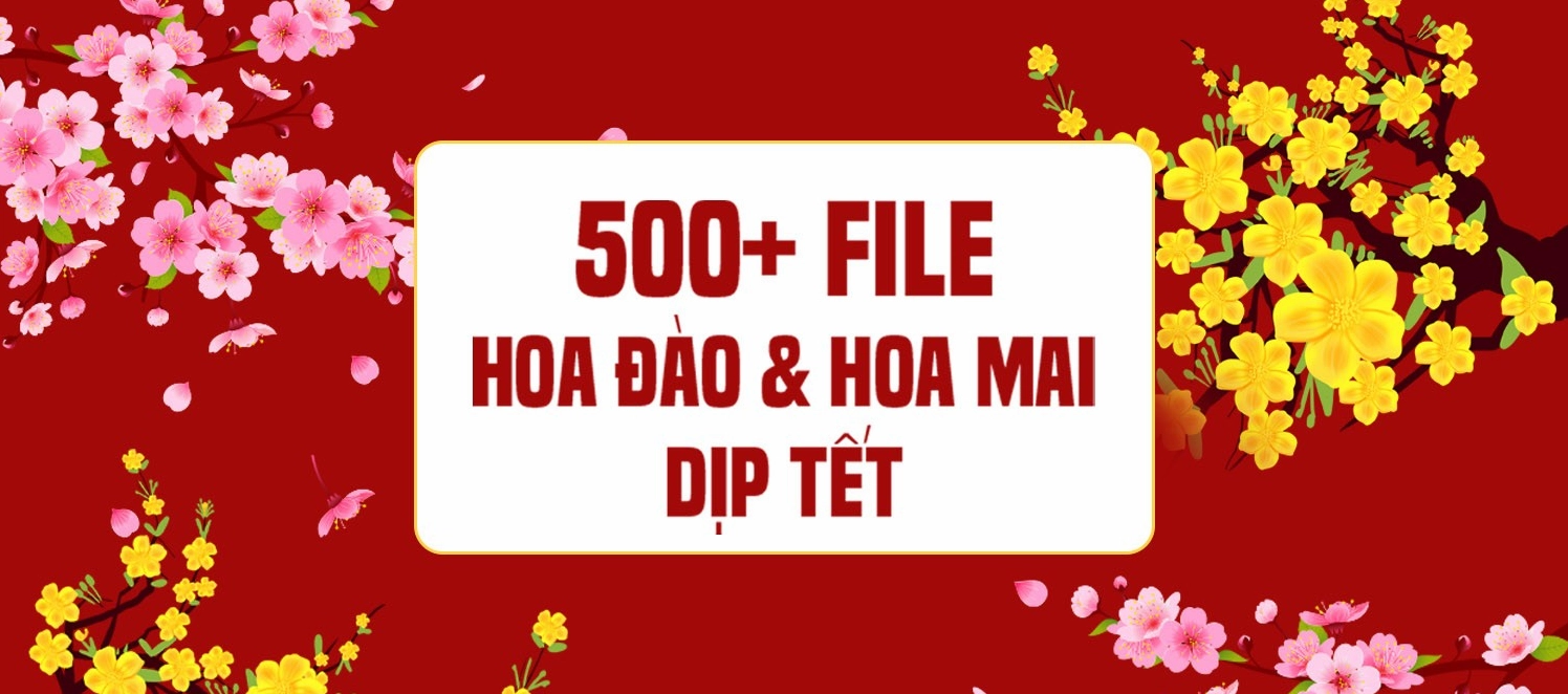 Tải xuống 500 file background hoa đào và hoa mai Tết 2025 rực rỡ