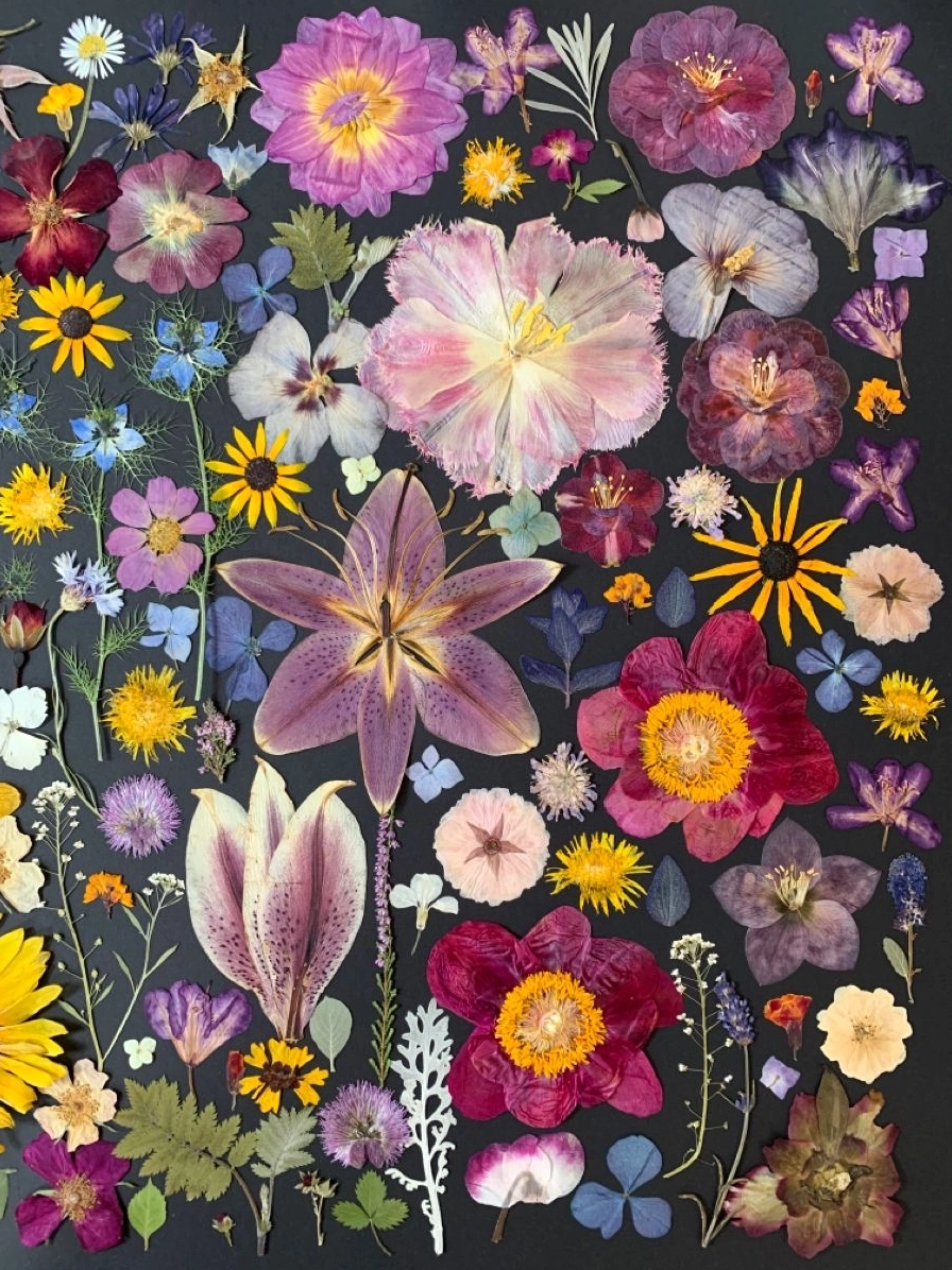 Tạo điểm nhấn ấn tượng với background hoa khô chụp ảnh đẹp