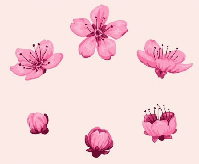 Thiết kế vector hoa đào mềm mại phù hợp làm nền thiệp