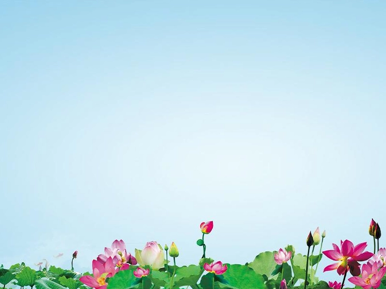 Thiết kế vector hoa sen trắng tinh khôi nổi bật giữa không gian xanh dịu mát