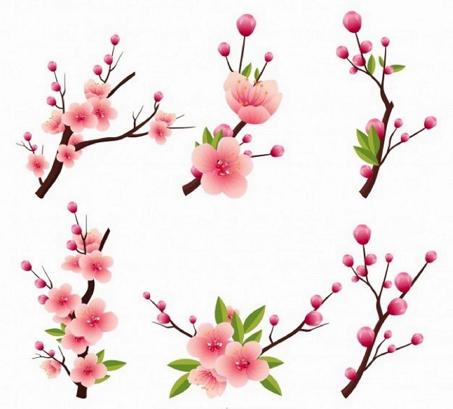 Vector cành đào tết mang đậm không khí lễ hội