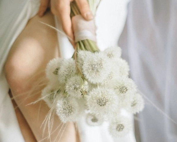 Ý nghĩa hoa bồ công anh được dùng làm hoa cưới tượng trưng cho tình yêu thuần khiết