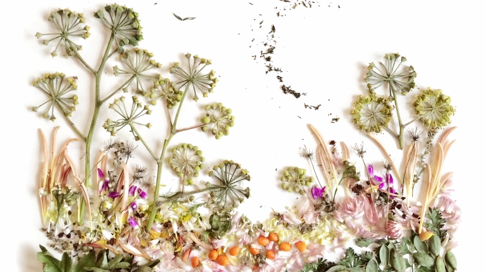 Ý tưởng trang trí không gian với background hoa khô decor