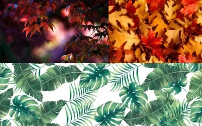 99+ ảnh background lá cây tươi mát tạo cảm giác thư giãn