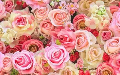 Tổng hợp 50 ảnh background hoa hồng đẹp nhất chất lượng cao