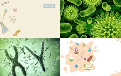 99+ background sinh học đa dạng cho nghiên cứu và giáo dục