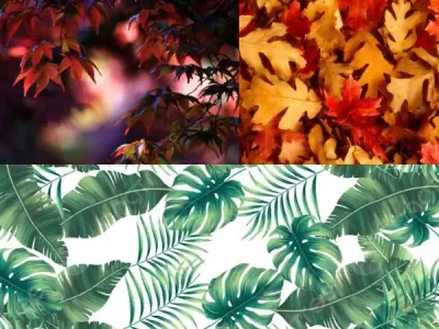 99+ ảnh background lá cây tươi mát tạo cảm giác thư giãn