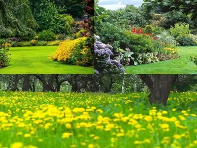 100+ ảnh background vườn cây xanh đẹp chất lượng cao