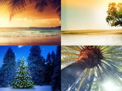 Tải ngay ảnh background cây xanh đẹp, chất lượng cao