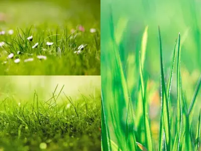 Tuyển chọn 100+ ảnh background cây cỏ đẹp tinh tế 2025