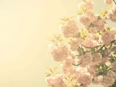 Khám phá 40 ảnh background hoa 20/10 cực chất và ấn tượng