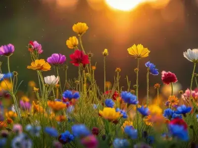 Bộ sưu tập 60 ảnh background hoa dại chuẩn HD đáng tải về