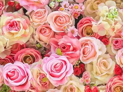 Tổng hợp 50 ảnh background hoa hồng đẹp nhất chất lượng cao