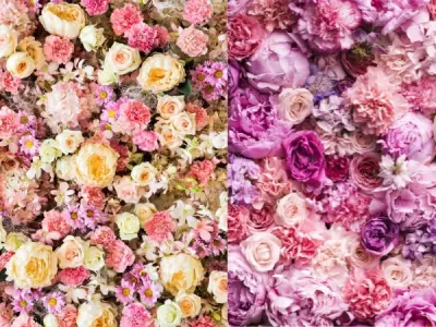 100+ ảnh background hoa lá đẹp tinh tế cho mọi thiết kế