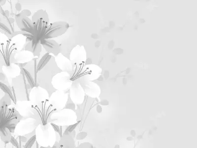 Khám phá 60+ ảnh background hoa trắng siêu nét, dễ tải về