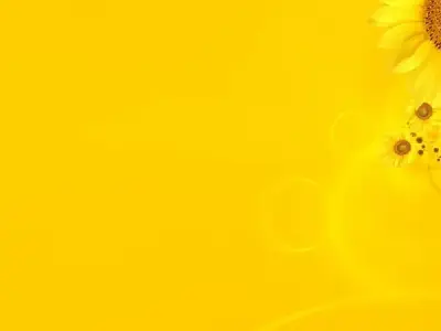 Bộ 50 ảnh background hoa vàng chất lượng cao sắc màu rực rỡ