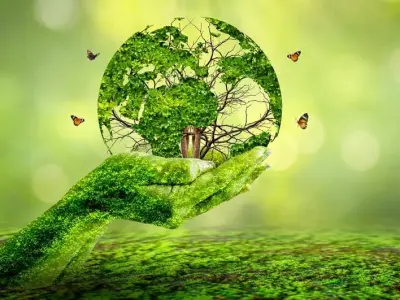 Khám phá background môi trường đa dạng cho mọi phong cách