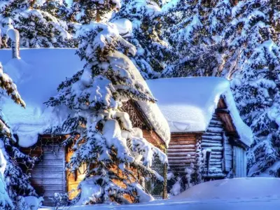 39+ background mùa đông mang vẻ đẹp lạnh giá cuốn hút