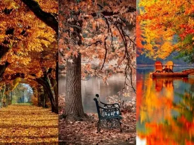 55+ background mùa thu đẹp mê hoặc khiến dân mạng phát sốt