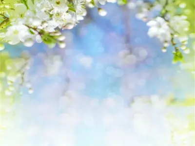 62+ background mùa xuân phong cảnh thiên nhiên tuyệt mỹ