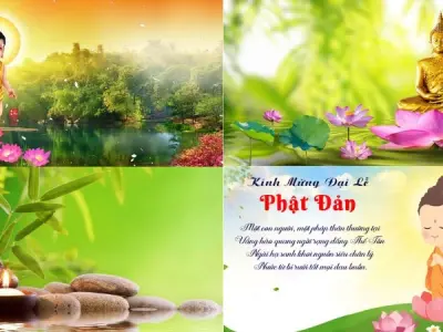 Tải ngay 55+ background Phật Đản độc đáo và ý nghĩa sâu sắc
