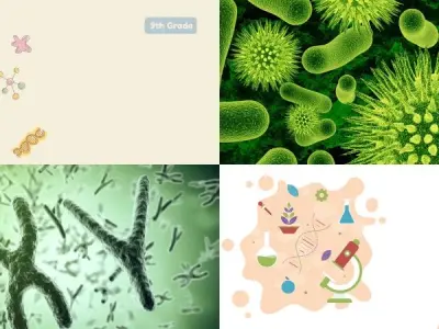 99+ background sinh học đa dạng cho nghiên cứu và giáo dục