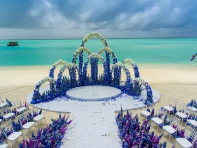 Top 66+ background tiệc cưới đẹp khiến ngày vui hoàn hảo