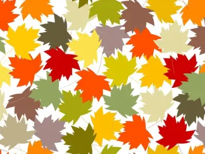 168+ Mẫu background lá phong đầy chất thơ và cảm hứng