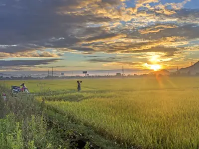 Tổng hợp 20+ ảnh background bình minh thiên nhiên thơ mộng