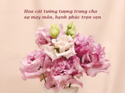 Bộ sưu tập 15 hình nền hoa cát tường rực rỡ sang trọng