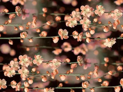 Bộ sưu tập 15+ hình nền hoa nhí đẹp thanh lịch siêu sắc nét