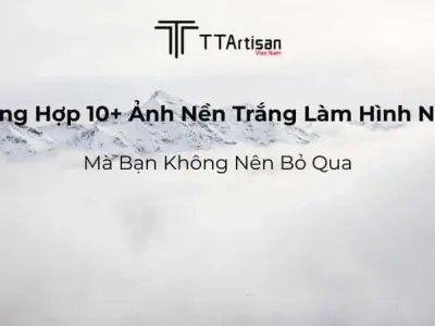 Bộ sưu tập background trơn đẹp sang trọng tải miễn phí