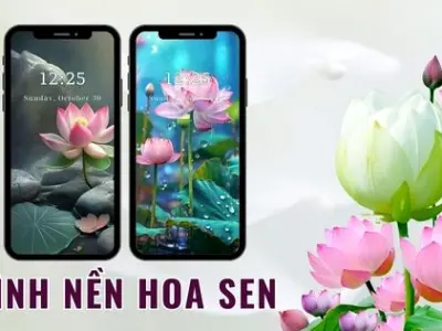 Bộ sưu tập hình nền bông sen iPhone tuyệt đẹp và sắc nét