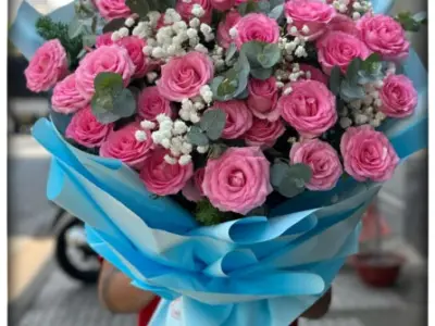 Bộ sưu tập hình nền hoa đồng tiền vàng rực rỡ mang tài lộc