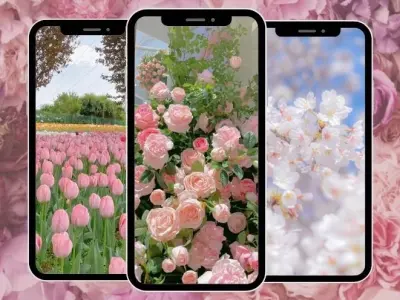 Bộ sưu tập hình nền hoa hồng cho iPhone tuyệt đẹp sắc nét