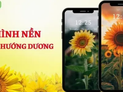 Bộ sưu tập hình nền hoa hướng dương cute dễ thương nhất