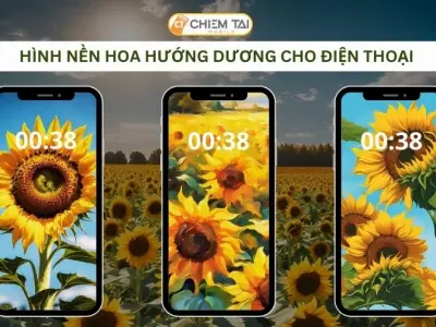 Bộ sưu tập hình nền hoa hướng dương đẹp nhất chất lượng 4K