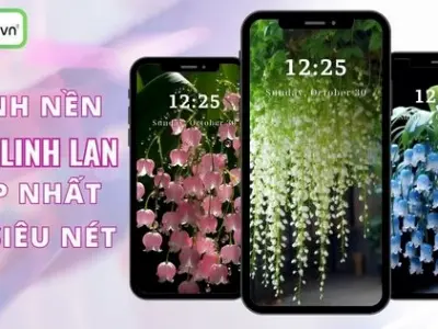 Bộ sưu tập hình nền hoa mộc lan cực đẹp tinh tế nhất