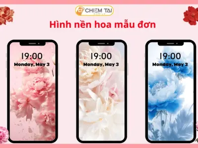 Tải ngay bộ hình nền hoa mẫu đơn 3d cực đẹp sắc nét