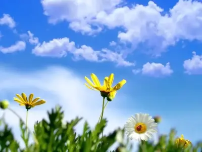 Tổng hợp 15+ background đẹp bầu trời chill và sắc nét nhất