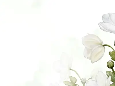 Tổng hợp 15+ mẫu background hoa đơn giản tinh tế và ấn tượng